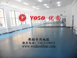 專業(yè)舞蹈塑膠地板 保護(hù)、減震、排壓與批發(fā)的全方位解析